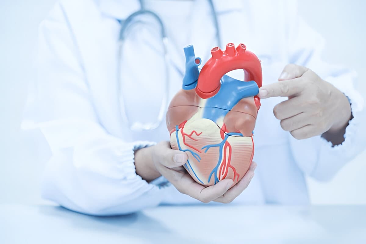 Healthy Heart