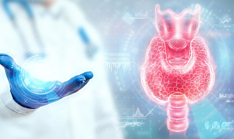 Endocrinology