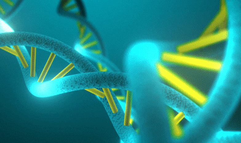 Genetics & Nutrigenomics
