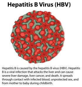 Chronic Hepatitis B