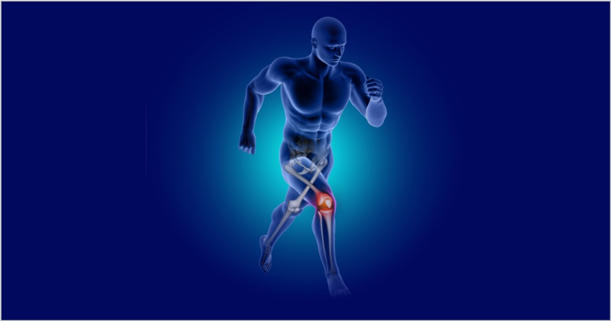 A Comprehensive Guide to Improving Joint Health and Naturally Increasing Cartilage